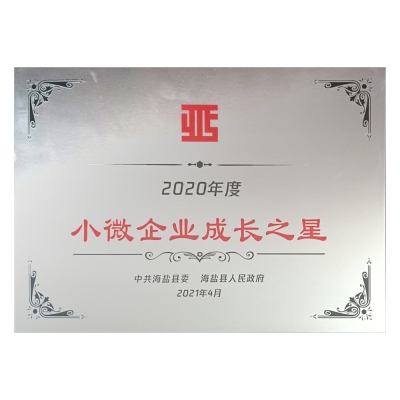 2020年度小微企業(yè)成長(cháng)之星